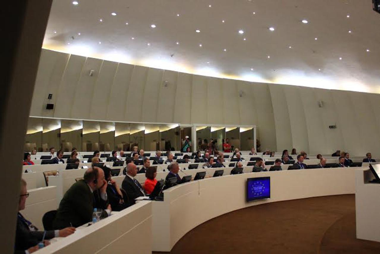 Paneuropska unija BiH