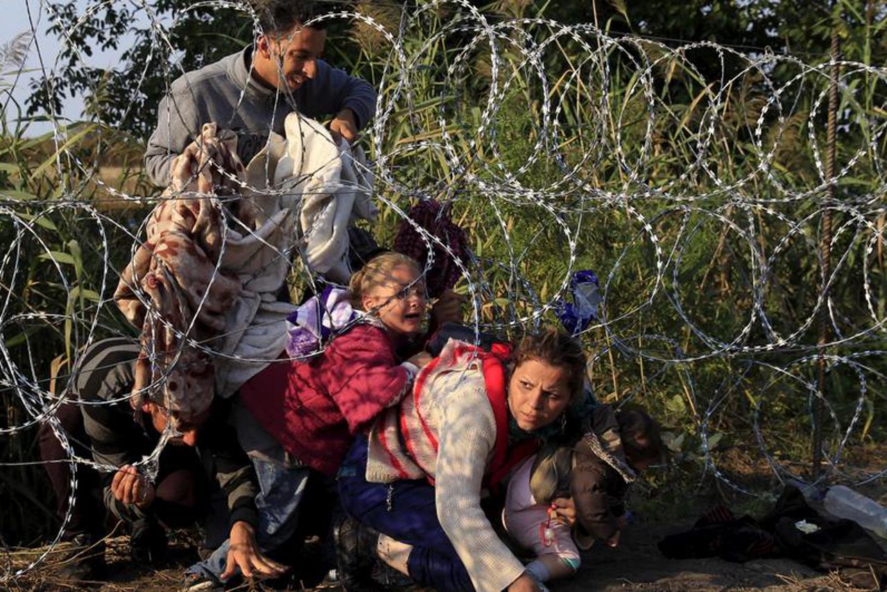 migranti