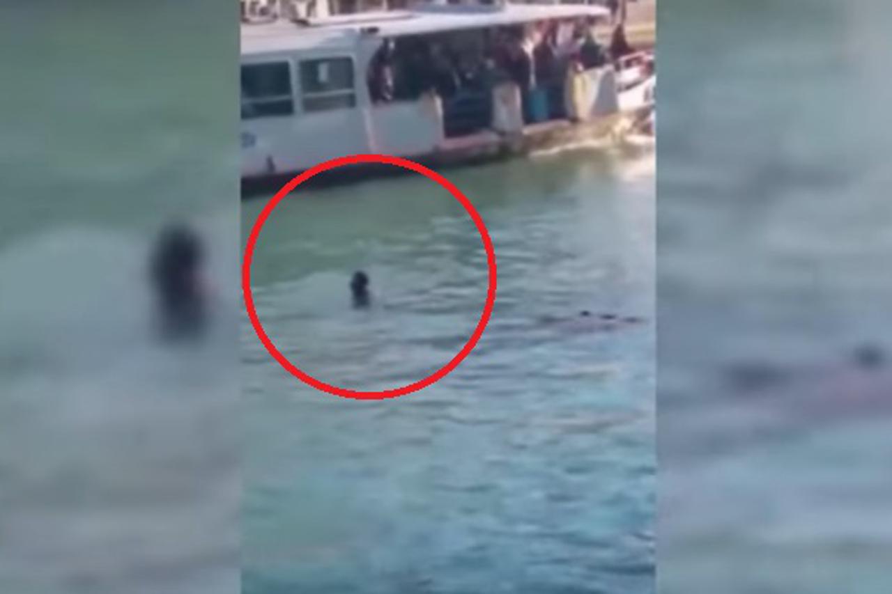 UZNEMIRUJUĆA SNIMKA IZ VENECIJE: