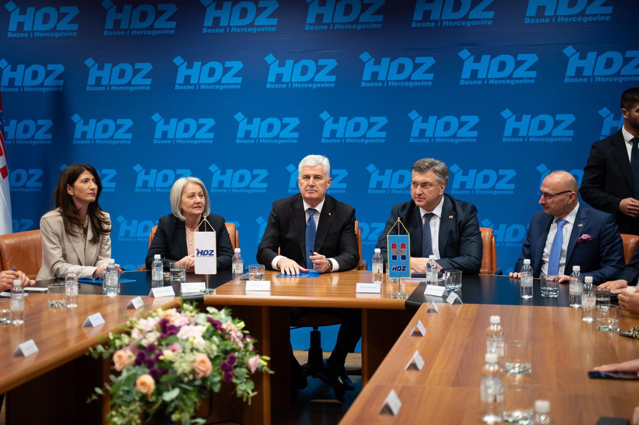 hdz bih - hdz rh