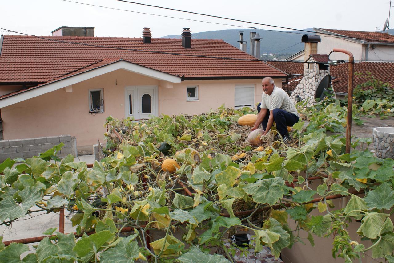 Čapljina