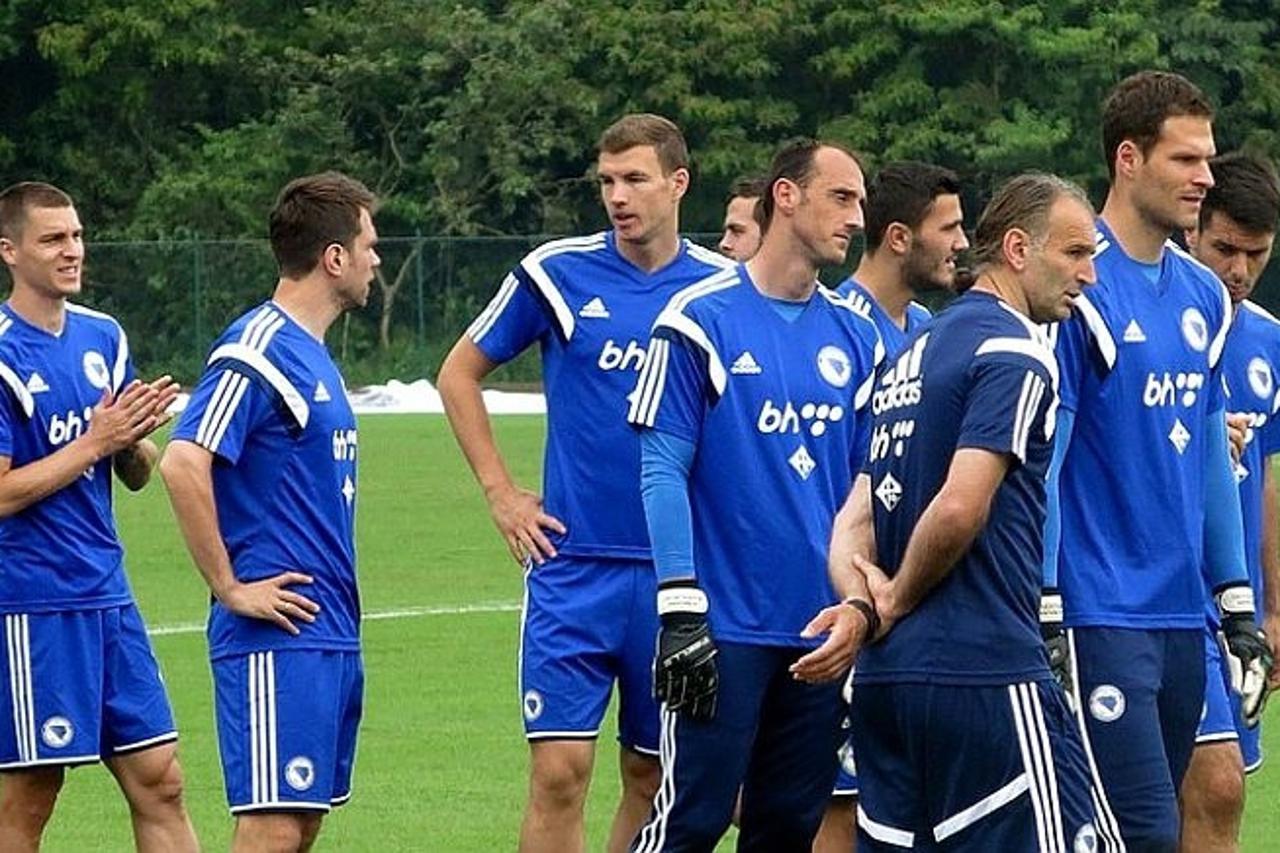 reprezentacija bih