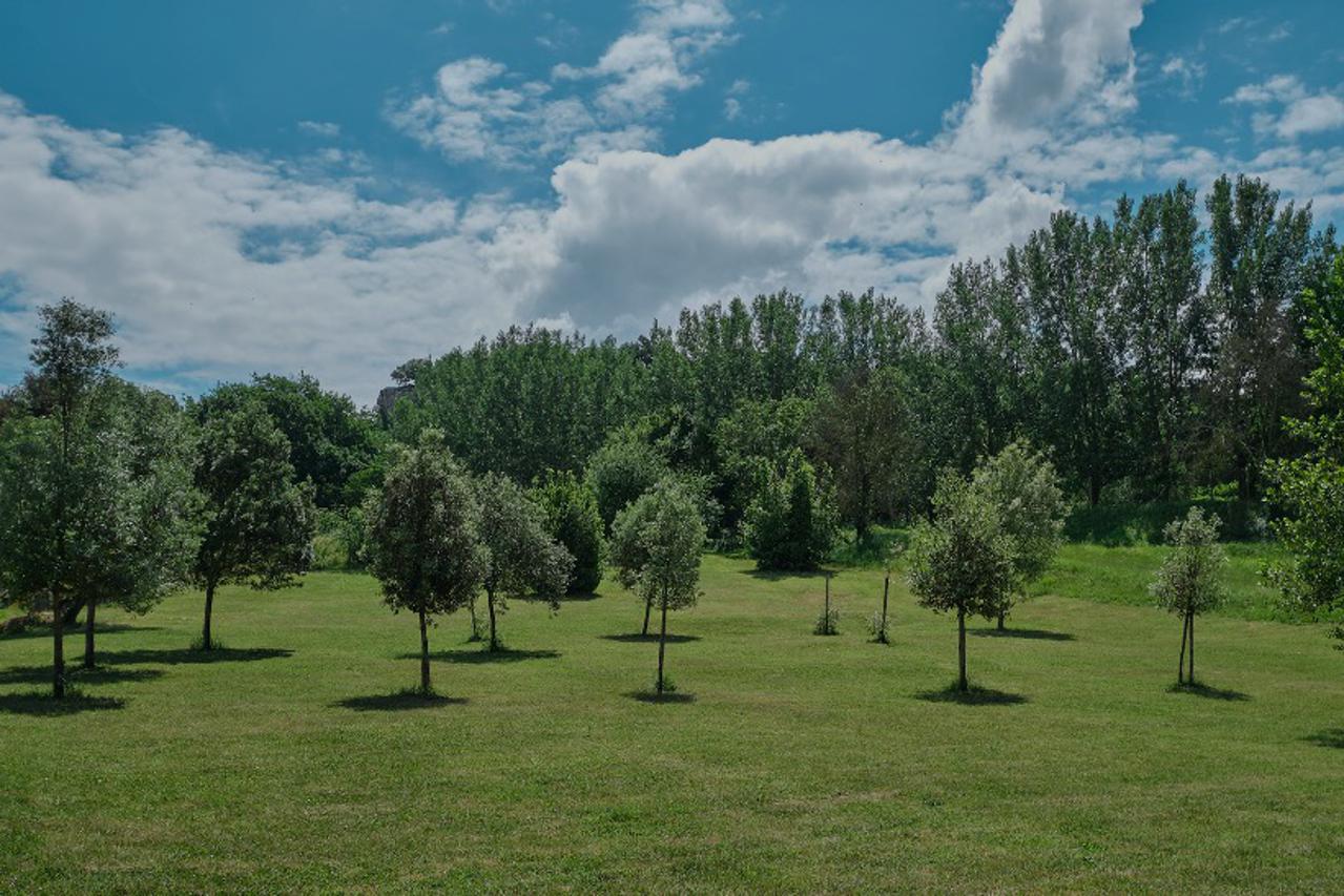 unicredit šuma