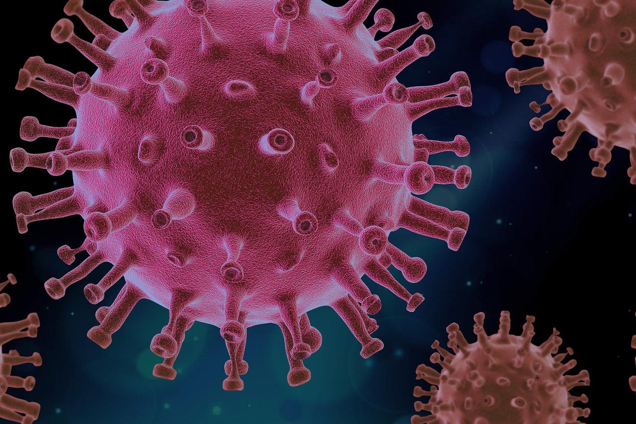 koronavirus
