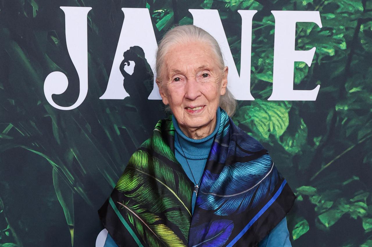 Jane Goodall