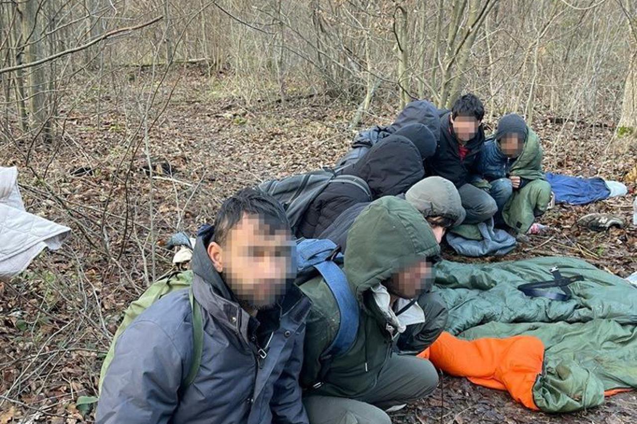 migranti