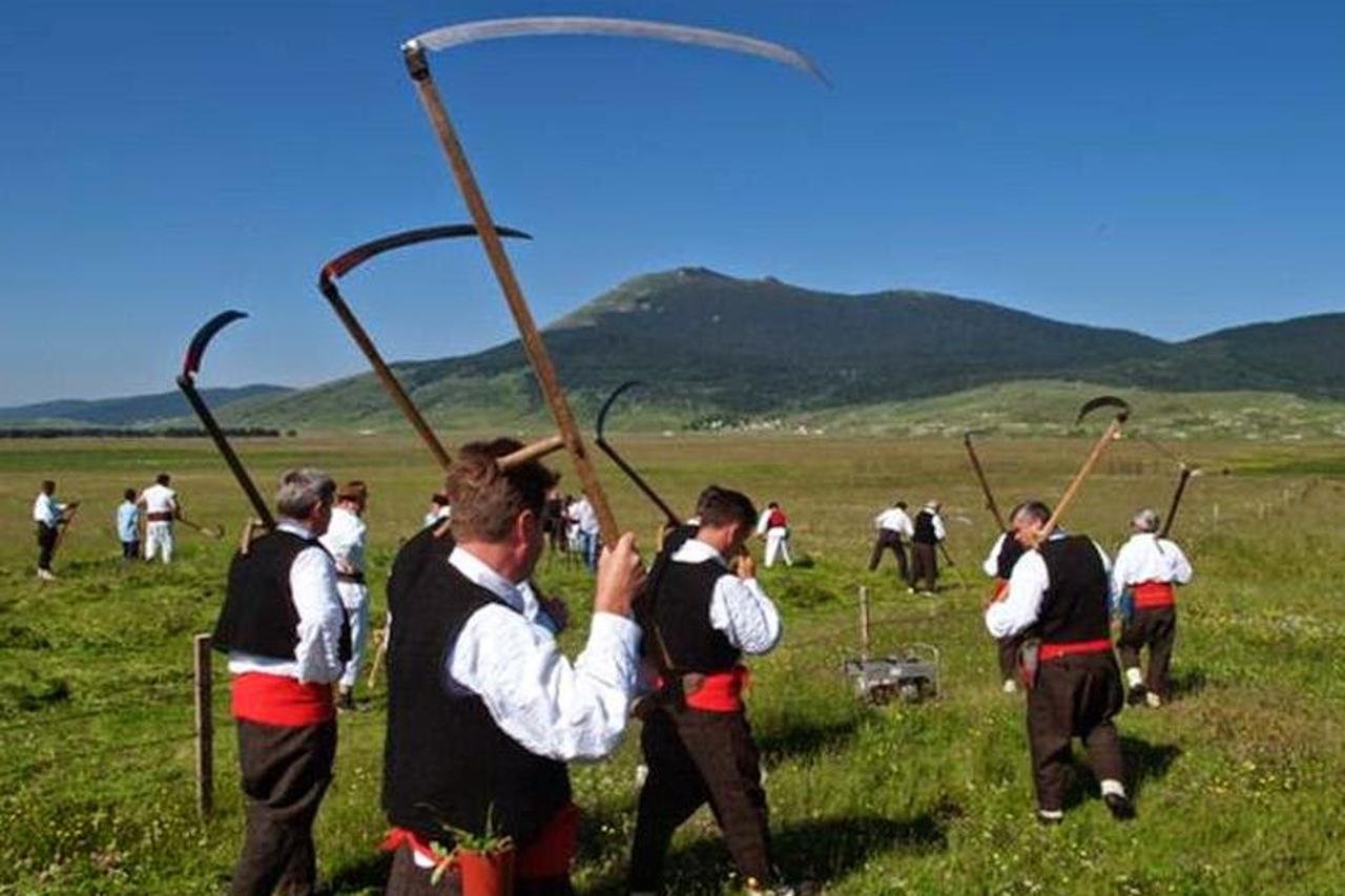 Kuprešci kosci