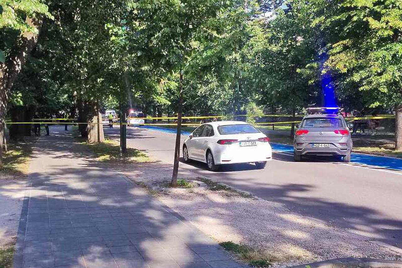 pucnjava vilsonovo šetalište