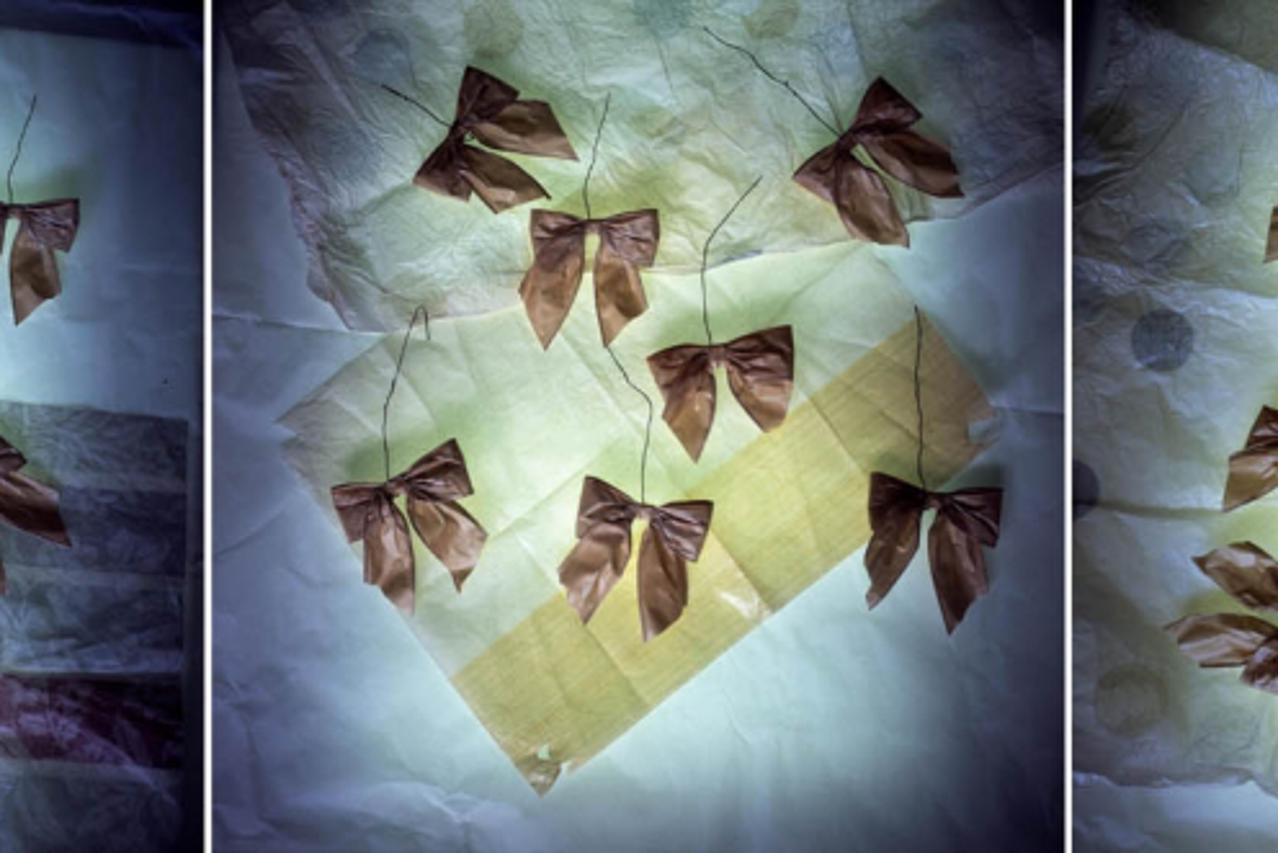 Jadranka Letinić, Triptih 