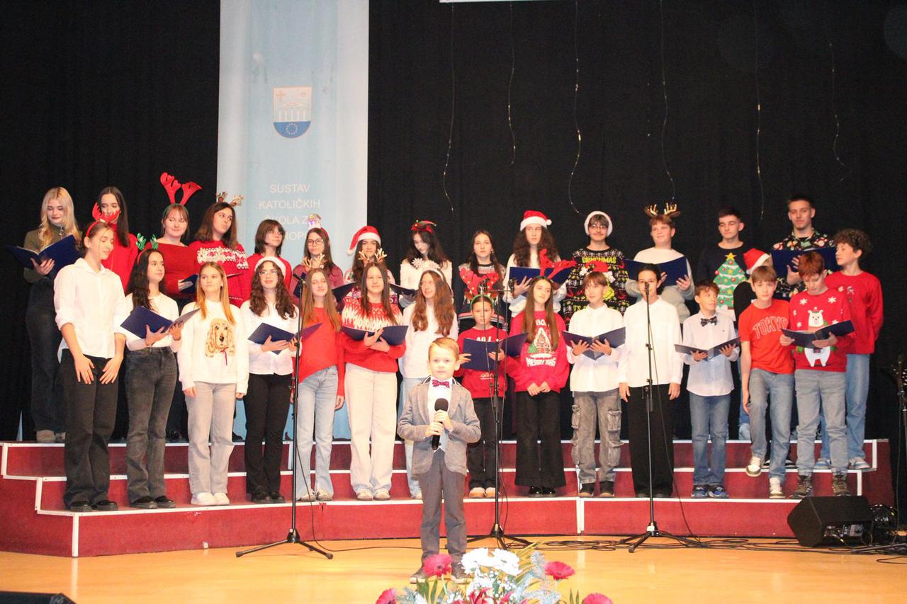Koncert u Zenici