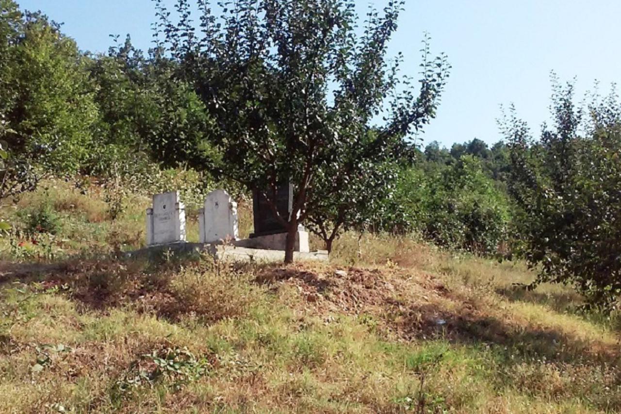 vocnjakgrob