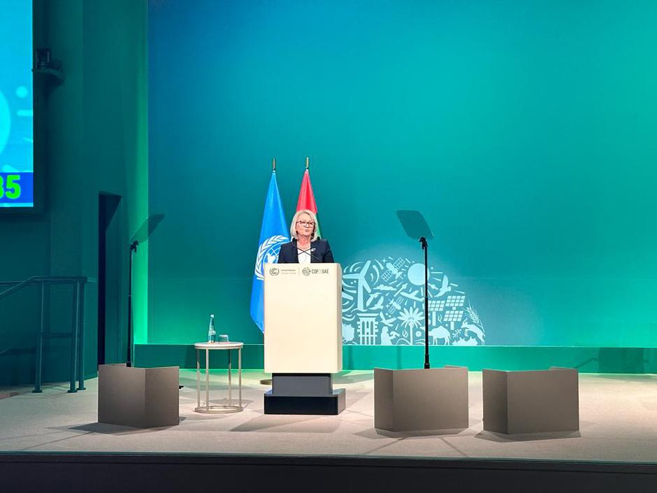 Borjana Krišto na konferenciji UN-a u Dubaiju