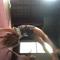 Avatar cro1com