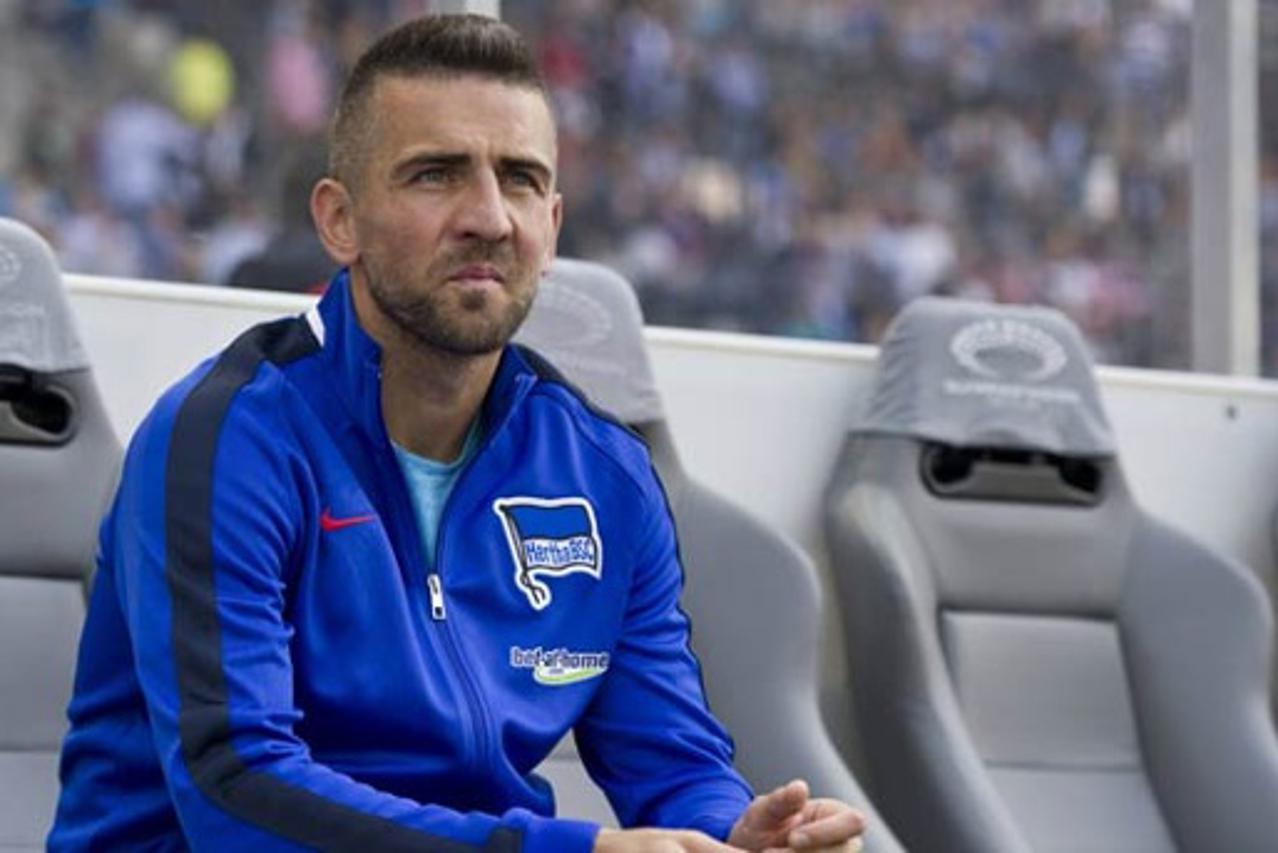 Vedad Ibišević
